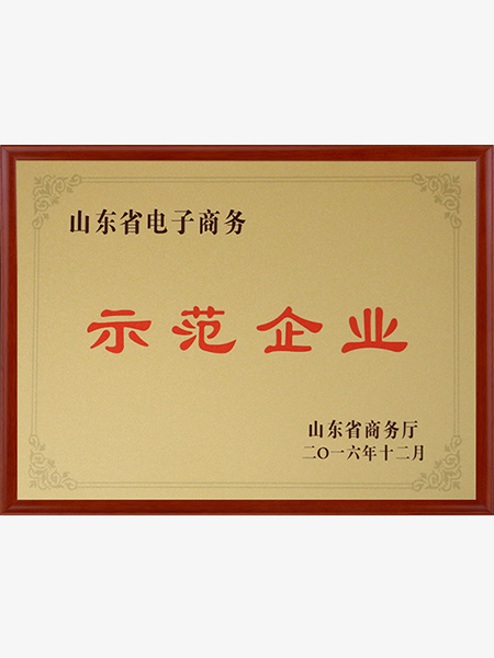 電子商務(wù)示范企業(yè)證書